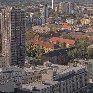 Výřez