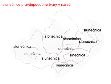 slunečnice mapa
