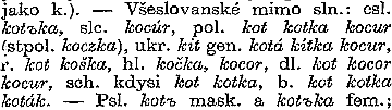 Slovo kočka/kocour v různých slovanských jazycích